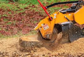 Best Aeration Services  in Clinton, TN